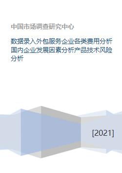 軟件外包服務(wù)企業(yè)多維剖析 成本結(jié)構(gòu)、發(fā)展要素與技術(shù)風險管理